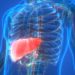 Getting ahead of liver cancer