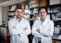 Fixing key flaw in revolutionary cancer treatment