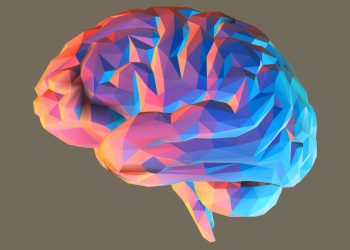 Does your brain reflect your sex?