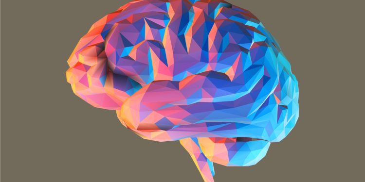 Does your brain reflect your sex?