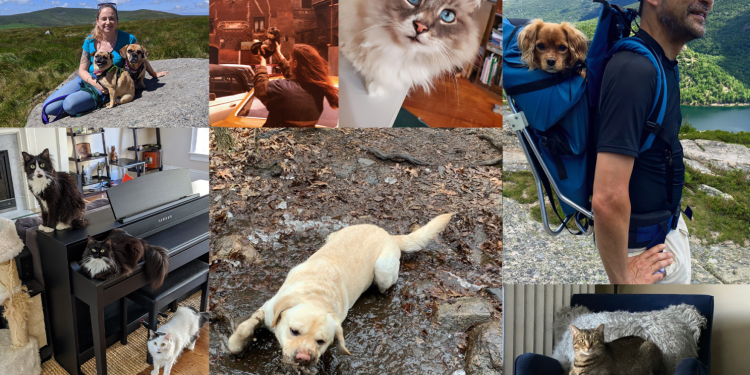 Loving your pup may be a many splendored thing