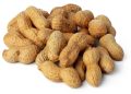 Seem like peanut allergies were once rare and now everyone has them?