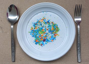 Plastics are everywhere, even in our bodies