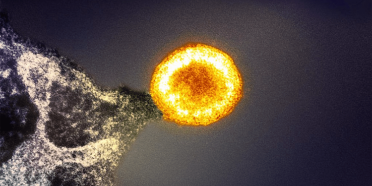 How HIV research has reshaped modern medicine