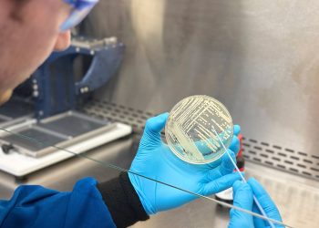 Harvard startup creating a new class of antibiotics