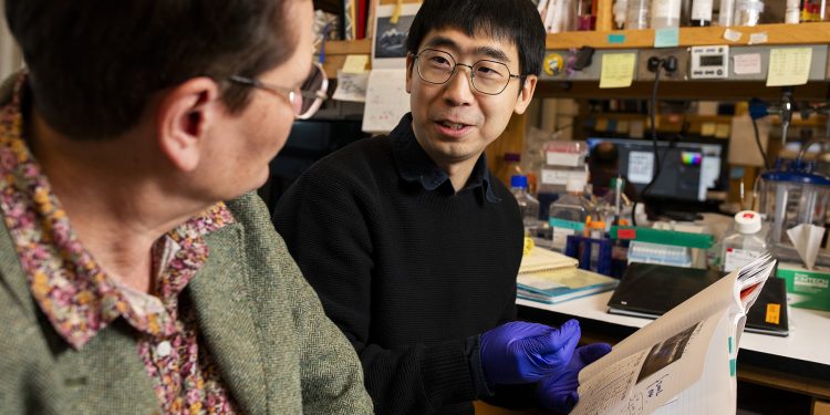 Food, water — and a friendly face