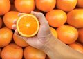 Eating citrus may lower depression risk