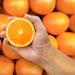 Eating citrus may lower depression risk