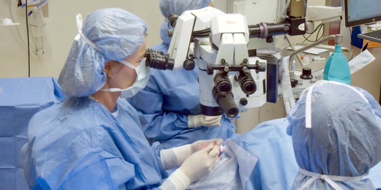 New hope for repairing eye damage once thought untreatable
