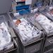Mortality rates between Black, white Americans narrow — except in case of infants