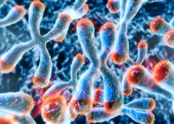 Vitamin D supplements may slow biological aging