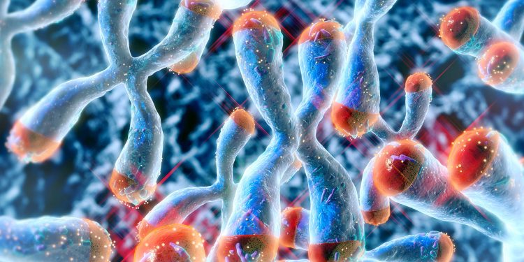 Vitamin D supplements may slow biological aging