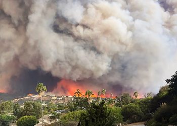 Wildfire smoke can harm heart and lungs even after the fire has ended