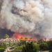 Wildfire smoke can harm heart and lungs even after the fire has ended