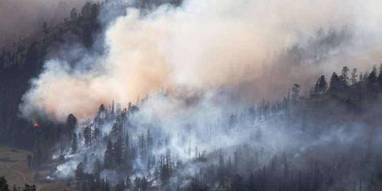 Overlooked climate-change danger: Wildfire smoke