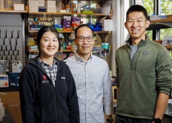 Shining a light on the dark matter of our genome