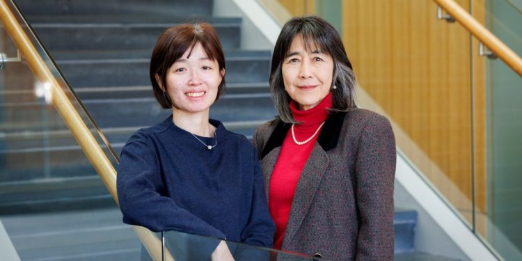 Your digital twin might save your life