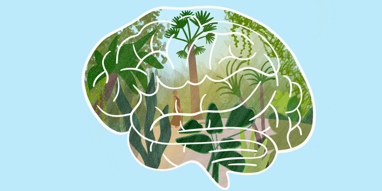 Are you doing enough to keep your brain healthy?