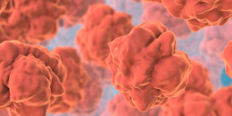 Binge drinking triggers gut damage, finds new study